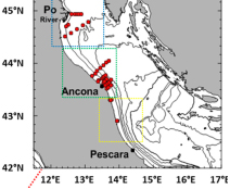 Un algoritmo empirico per la stima da satellite del contributo del CDOM (sostanza organica disciolta) nel Mare Adriatico